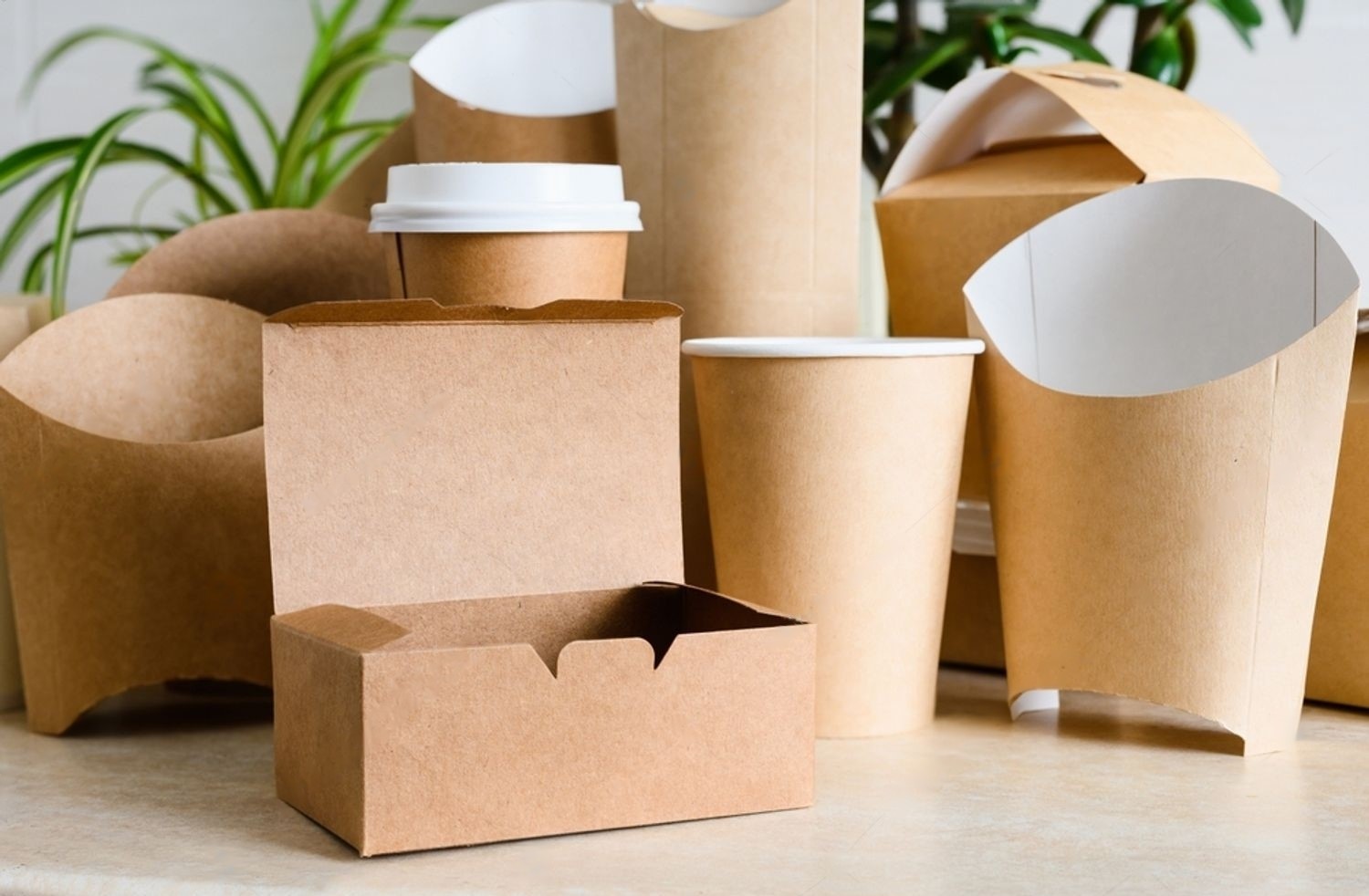 Materiales Reciclables (Hule, Papel y Cartón)